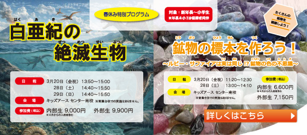 白亜紀の絶滅生物／鉱物の標本を作ろう