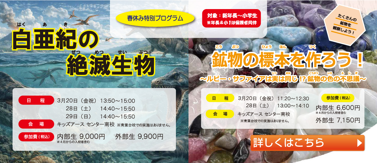 白亜紀の絶滅生物／鉱物の標本を作ろう